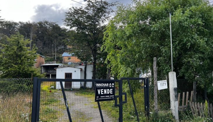Imagen de galería