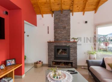 Innovar - Galería